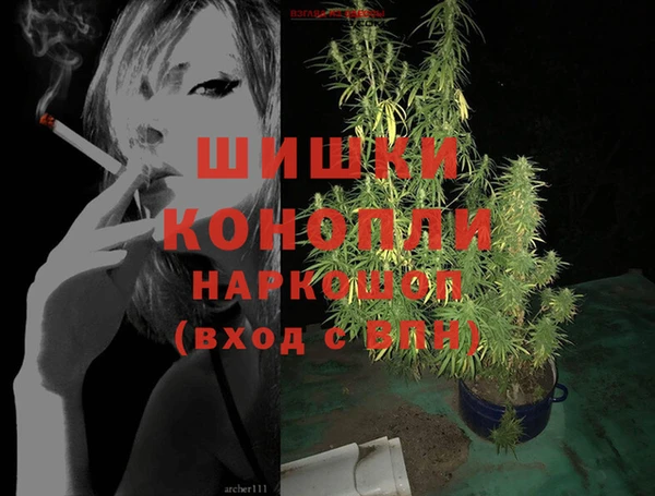 ГАЛЛЮЦИНОГЕННЫЕ ГРИБЫ Осташков