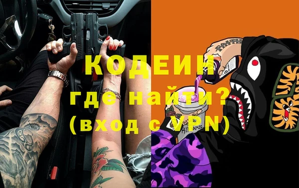 индика Вяземский